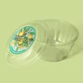 Clear plastic container with a colorful lid on a green background.